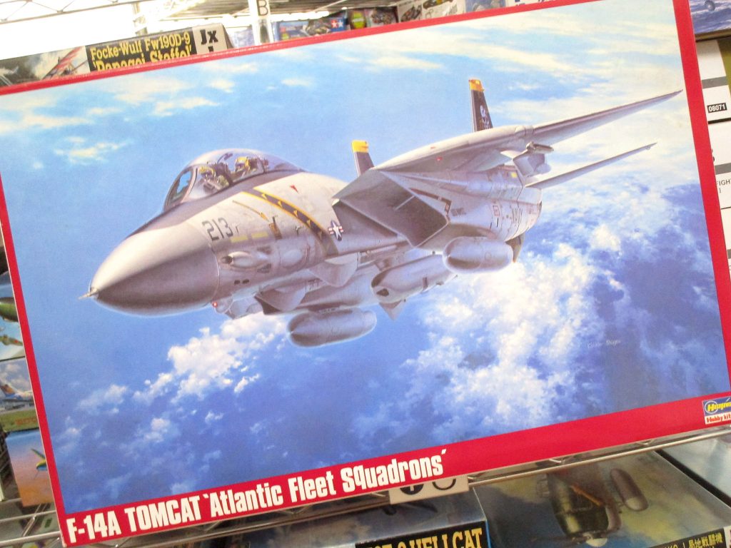 ハセガワ 1/48 F-14A トムキャット 大西洋空母航空団