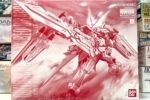 買取実績:バンダイ MG 1/100 ガンダムアストレイレッドドラゴン