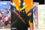 買取実績:バンダイ METAL BUILD デスティニーガンダム ハイネ機