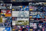 買取実績:バンダイ MG 1/100 ドム など